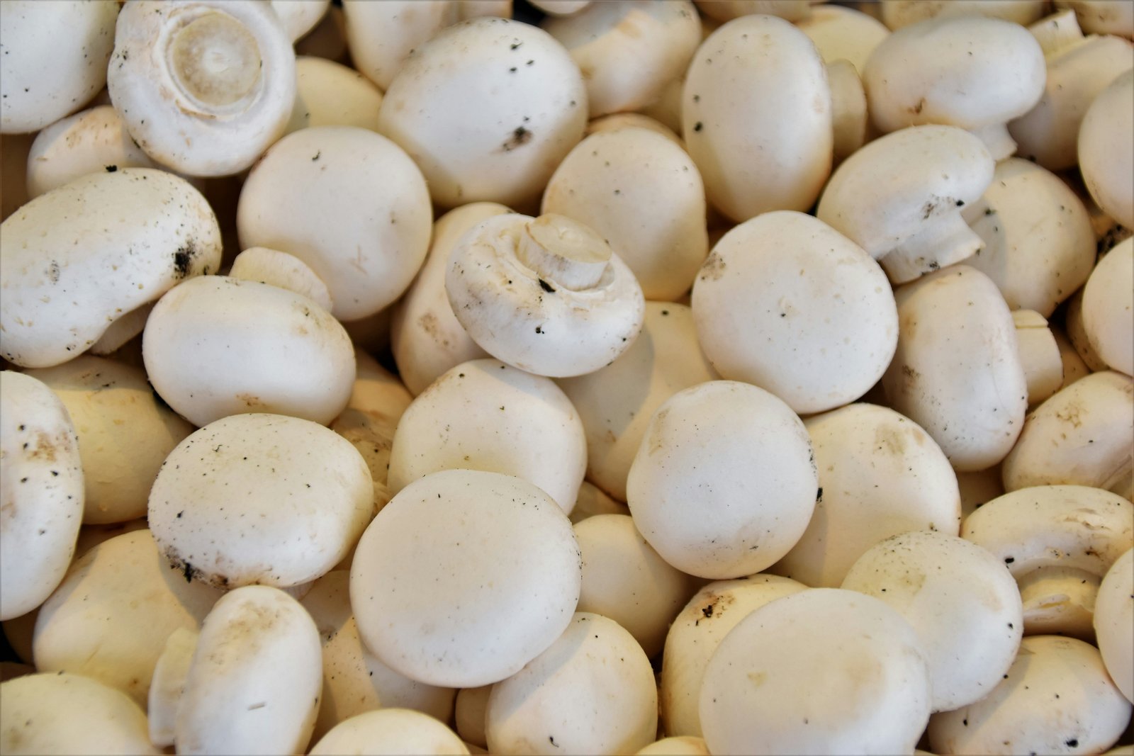 Breaking Down Barriers to Crop Insurance